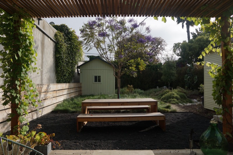 A long wooden table under the vine-covered pergola, looking out to the jacaranda and the garden beyond.