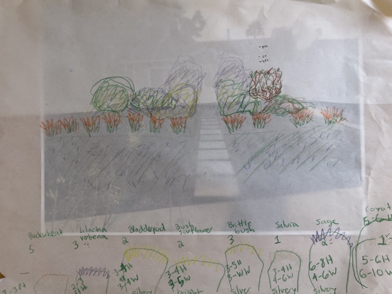 A hand-drawn colored sketch of the planned front garden, with a handwritten plant list and quantities below.